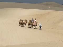 -库伦旗银沙湾旅游景区