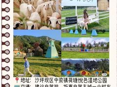 -人民解放纪念碑