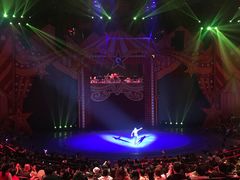 -珠海横琴长隆《卡卡虎奇遇记》