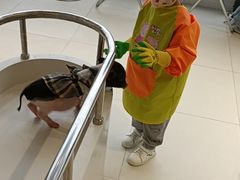 -怪兽屋·羊驼·猫咖·狗咖(俊华广场店)