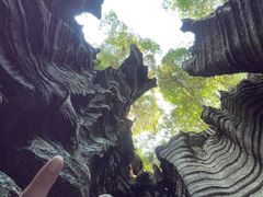 -梭布垭石林景区