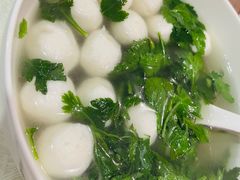 -丁老爷子苏香圆