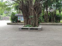 -李小龙乐园(顺德均安店)