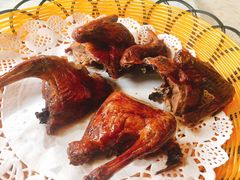 -百利鸽王(紫薇路店)