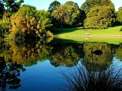 -墨尔本皇家植物园