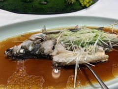 -丹江渔村(上地店)