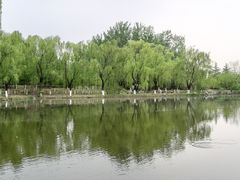 -济南植物园