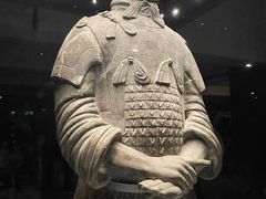 -秦始皇帝陵博物院(兵马俑)