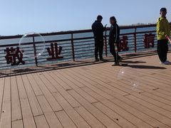-丁香湖公园
