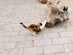 -天毓山庄·餐厅