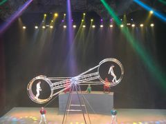 -重庆国际马戏城