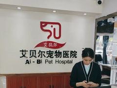 -艾贝尔宠物医院·24H转诊中心·肿瘤猫专科(江宁双龙店)