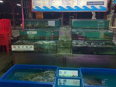 -旗鱼海番村(Orang Asli)