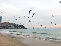 -海云台海滩