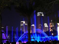 音乐喷泉夜景-白鹭洲公园