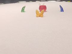 -怡情荟•海鲜青岛菜(五四广场旗舰店)