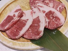 羊排-猫抓烤肉(春熙路店)