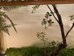 -豫满楼(正光路店)