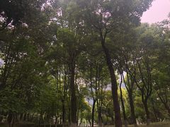 -重庆市江北嘴中央商务区中央公园