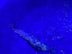-海合安青岛极地海洋公园