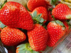 -红星农博物流中心