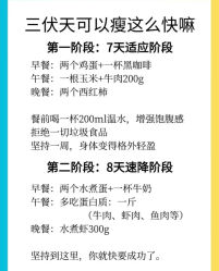 -Fundi张玉珊修身堂·indiba·BTL科技瘦身
