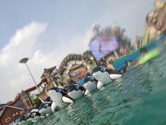 -沈阳龙润夏宫温泉水乐园