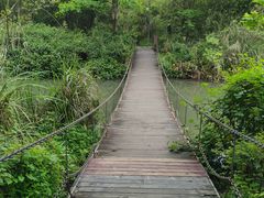 -桤木河湿地公园