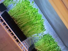 -煲宫猪肚鸡(昆山金鹰国际购物中心店)