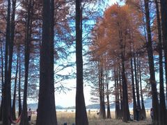 -四明湖