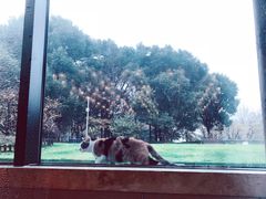 -潮府馆·非遗潮州菜·港式点心(世纪公园店)