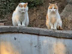 -颐和园