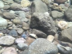 -安吉龙王山峡谷漂流