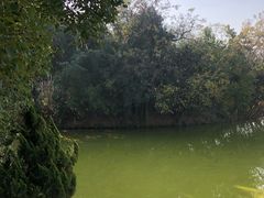 -丝绸小镇荻港古村