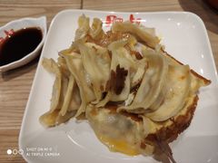 -肥叔锅贴(和炯路店)