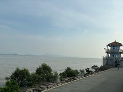 -深圳湾公园(南山区)