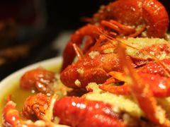 -京韵胡同·酱香羊蝎子火锅涮肉(长寿路店)