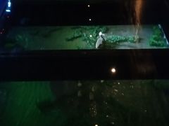 -上海崧泽遗址博物馆