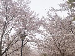 -堤角公园