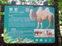 -海南热带野生动植物园