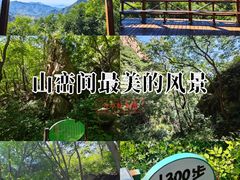 -大岭沟猕猴桃谷风景区