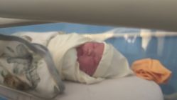 -北京圣宝妇产医院·妇产科·儿科