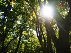 -国家植物园南园