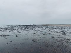 -刘家湾赶海园