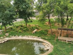 -石家庄市动物园