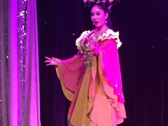 -金东尼人妖秀