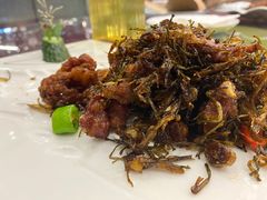 -碧丽宫大酒店(召稼楼店)