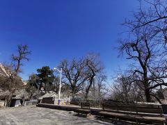 -北京凤凰岭