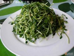 豆苗-天厨妙香素食餐厅(清华店)