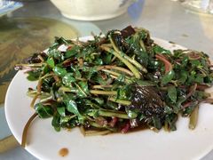 -周鱼鳅饭店